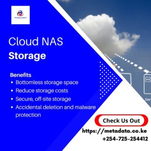 Cloud NAS Storage